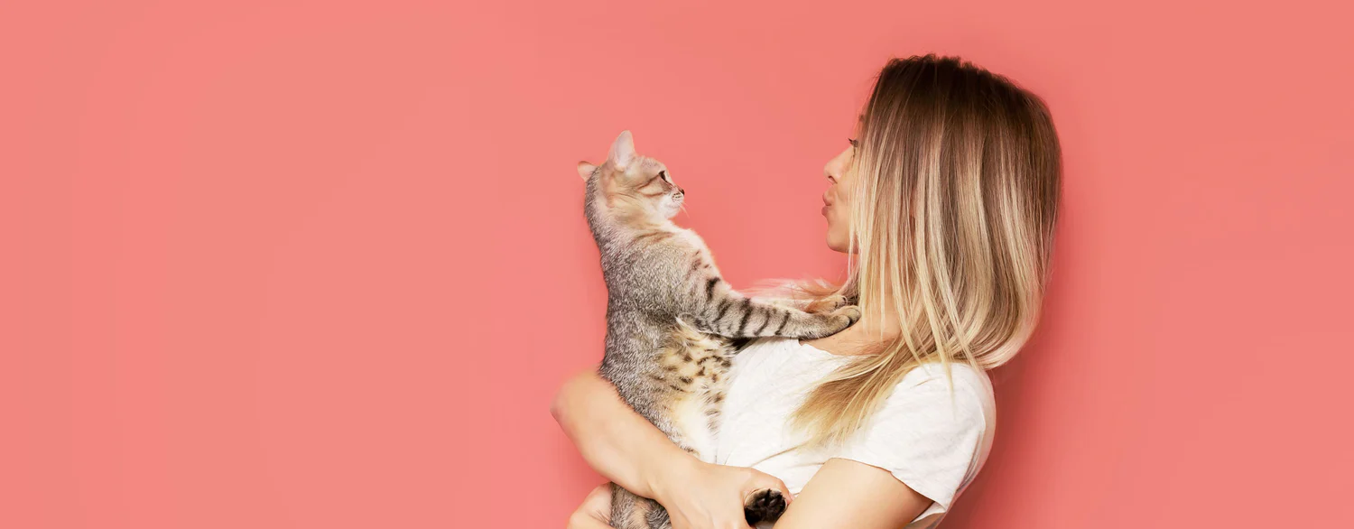 La pureté naturelle pour chat