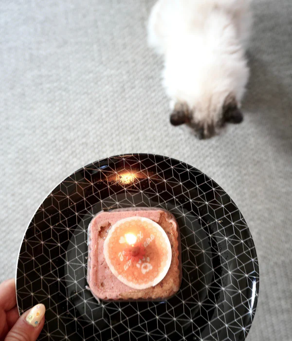 Pâtée Anniversaire pour Chat - Image 4