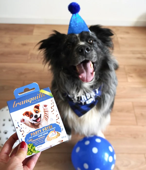 Pâtée Anniversaire pour Chien - Image 4